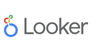 Looker Studio Logo